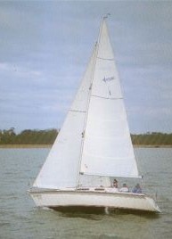 regatta330